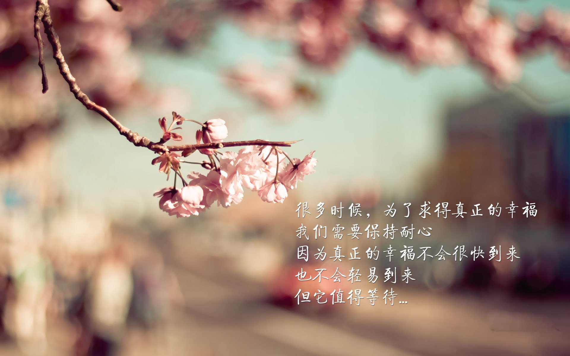 2026 CBA 季后赛数据复盘：中国男篮后卫线在对抗强度下的真实投篮命中率。